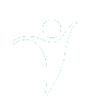 curp icon