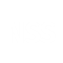 nss icon